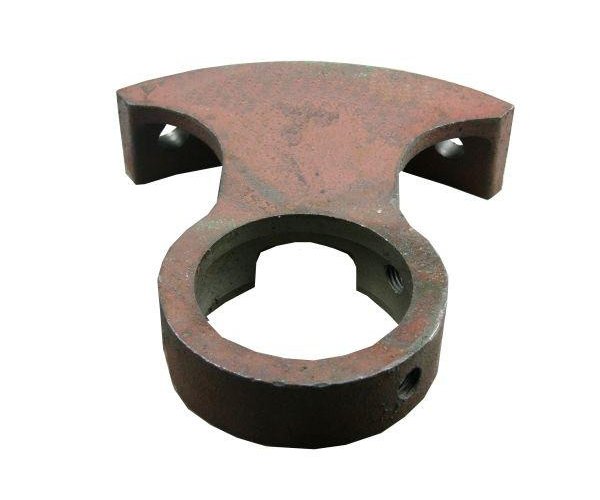 Wspornik ślimaka Bizon