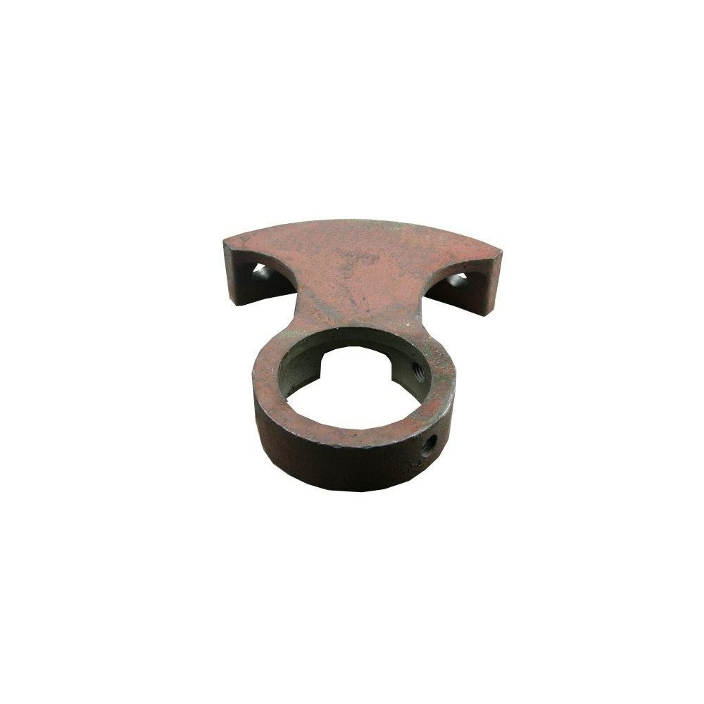 Wspornik ślimaka Bizon