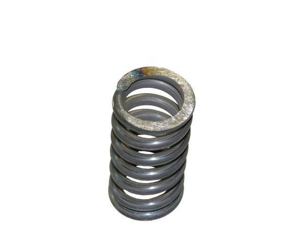 Sprężyna 5040250310 Bizon