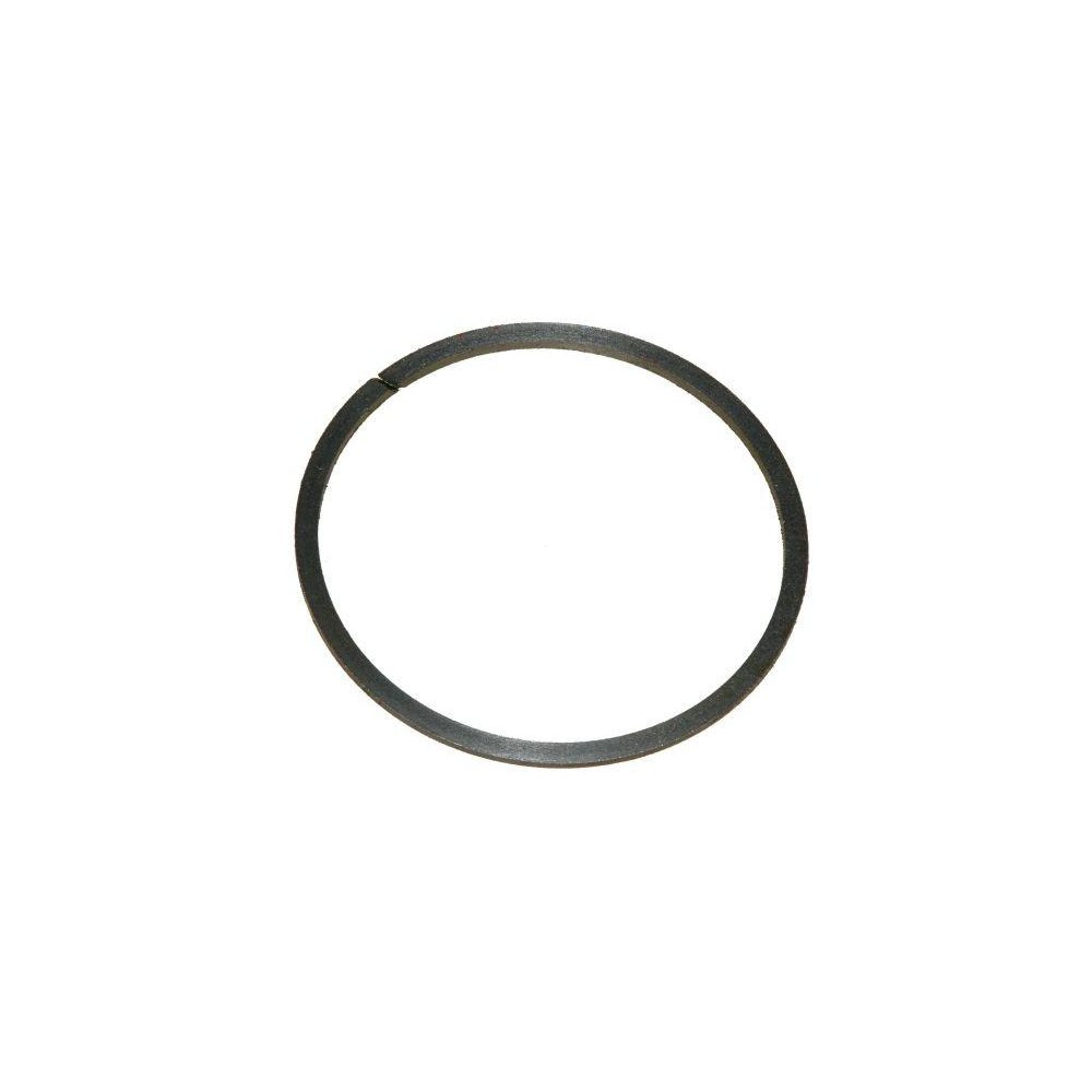 Pierścień uszczelniający przekładni bezstopniowej Bizon