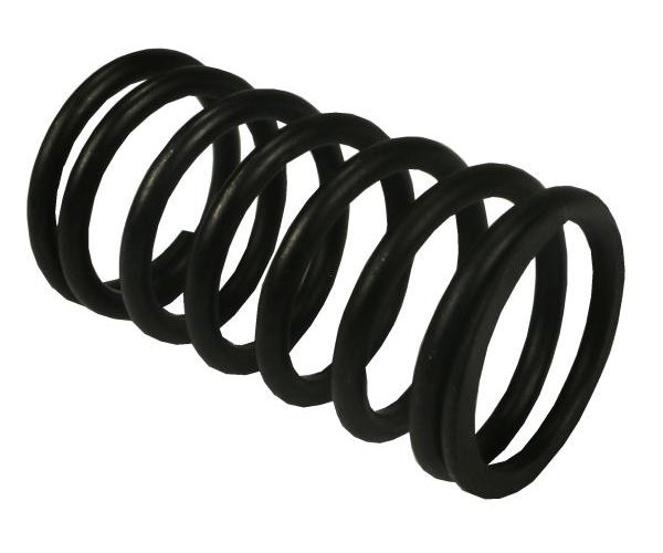 Sprężyna zaworu wewnętrzna 80005012 sprzedawane po 10 C-385 ORYGINAŁ URSUS