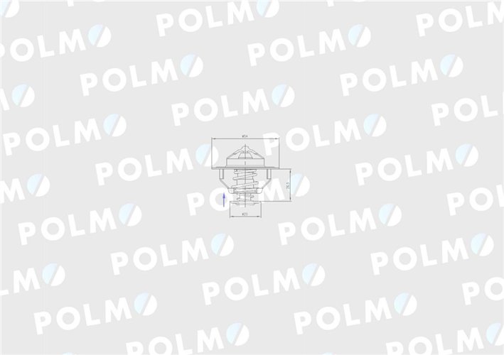 Termostat 98463637 Case POLMO