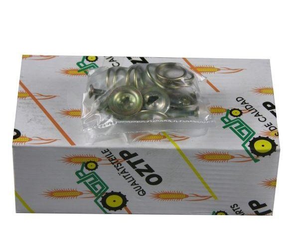 Zestaw dociskowy szczęki hamulca MF3