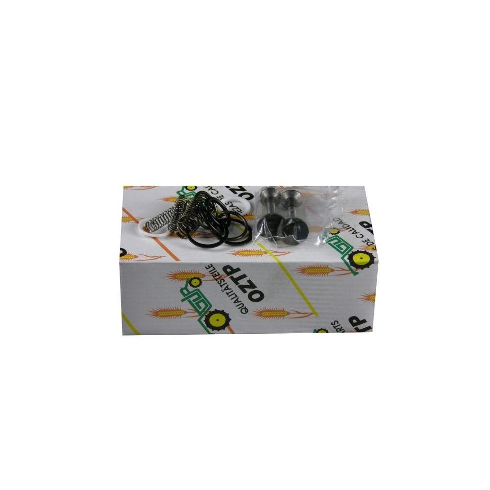 Zestaw naprawczy komory zaworowej pompy hydraulicznej MF3/MF4