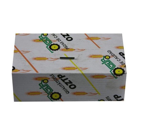 Igiełka kosza satelit tylnego mostu 3,175x21,59 MF3/MF4