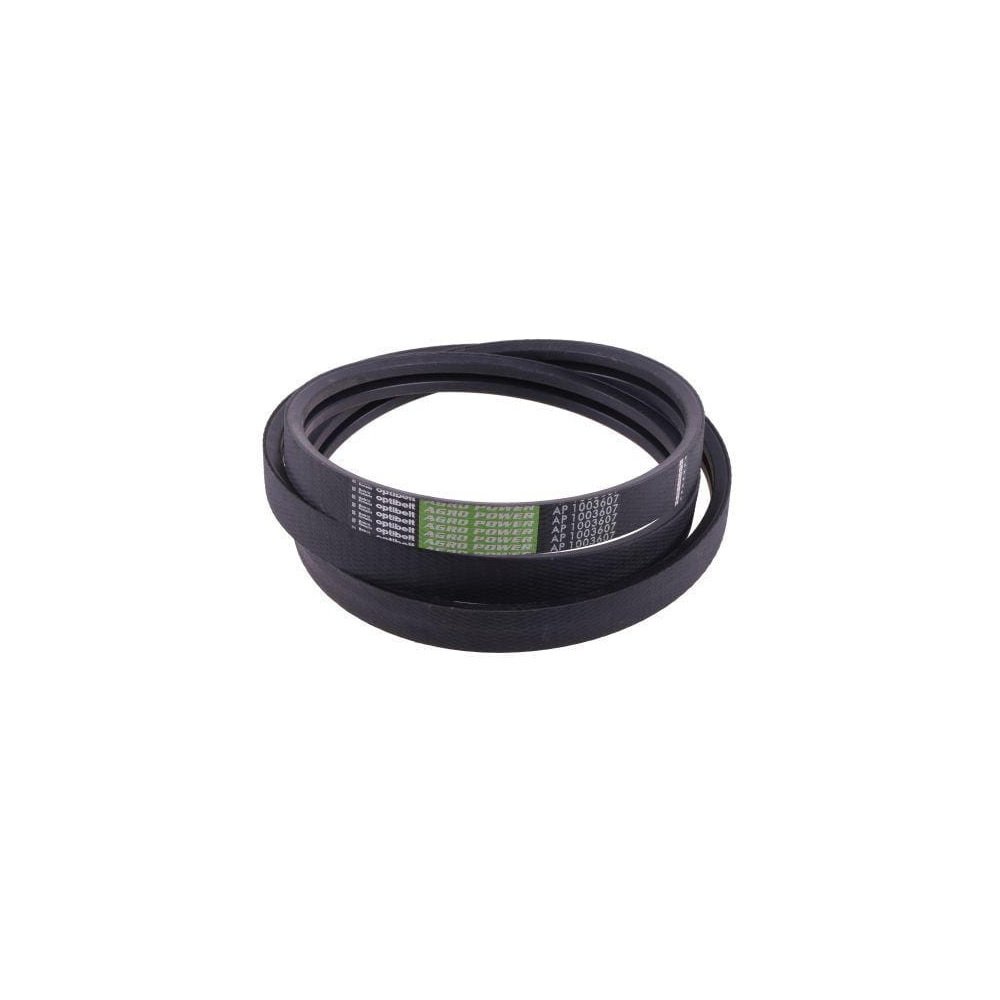 Pas klinowy AP1003607 AGCO (71146271) Optibelt