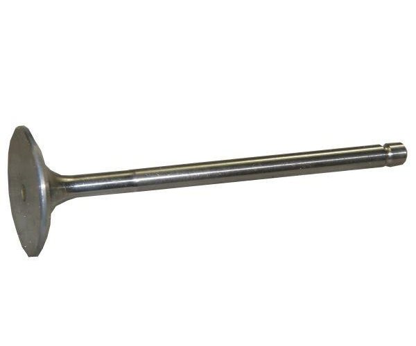 Zawór ssący Bizon Paradowski