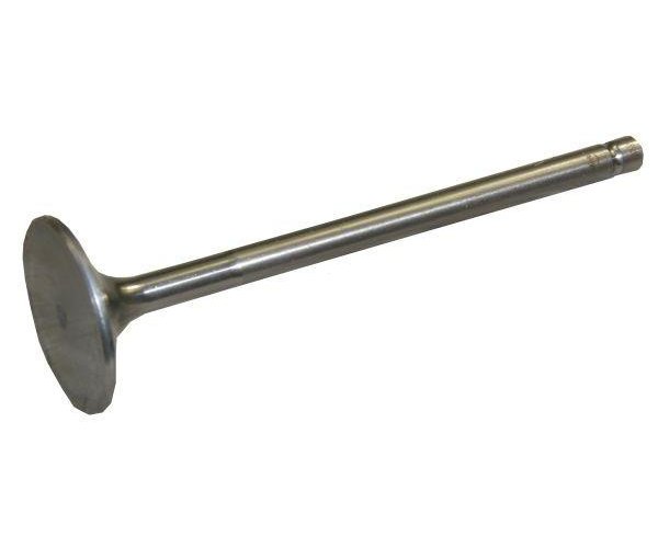 Zawór wydechowy Bizon Paradowski