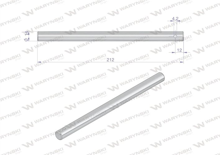 Palec ślimaka Bizon Waryński ( sprzedawane po 5 )