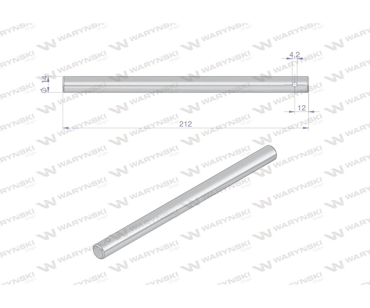 Palec ślimaka Bizon Waryński ( sprzedawane po 5 )