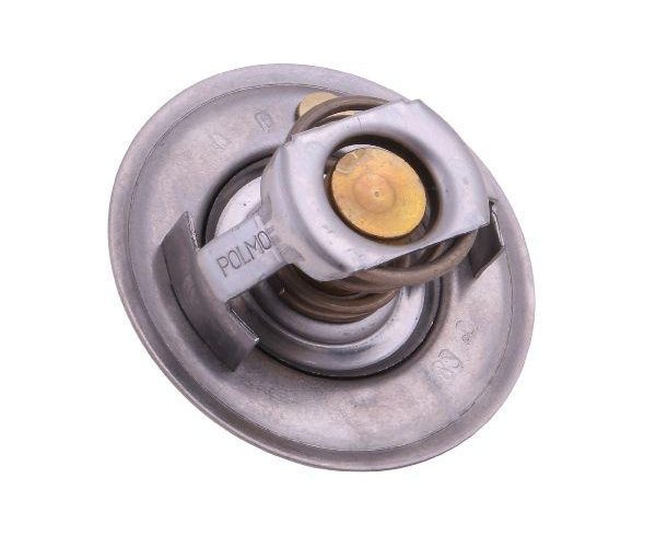 Termostat 6005012123 RENAULT POLMO
