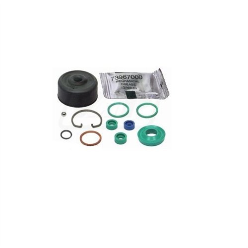 Zestaw naprawczy pompki hamulcowej Renault 6005019980