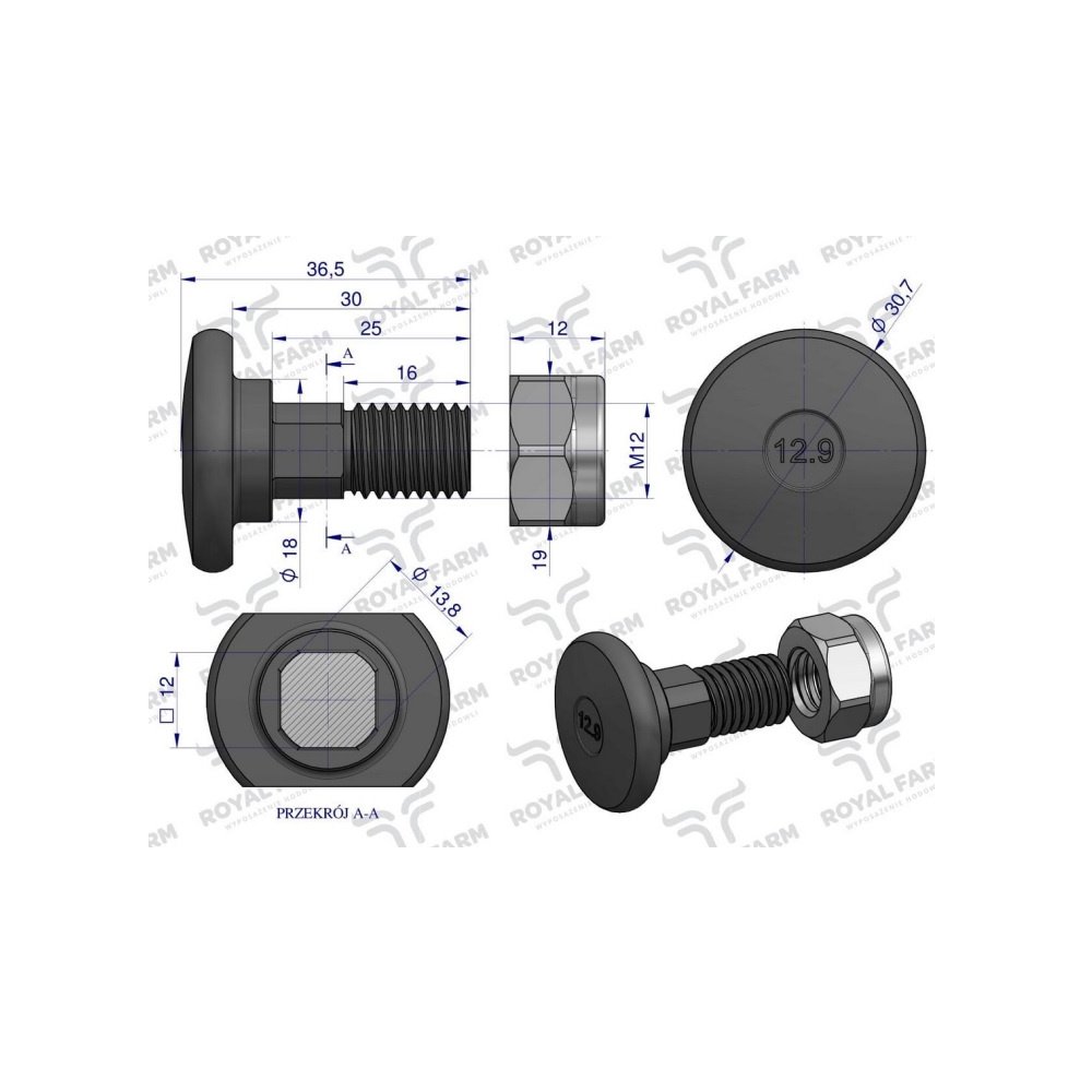 Śruba nożyka kpl. M12x37 zastosowanie Stoll. Vicon ROYAL FARM (sprzedawane po 10)