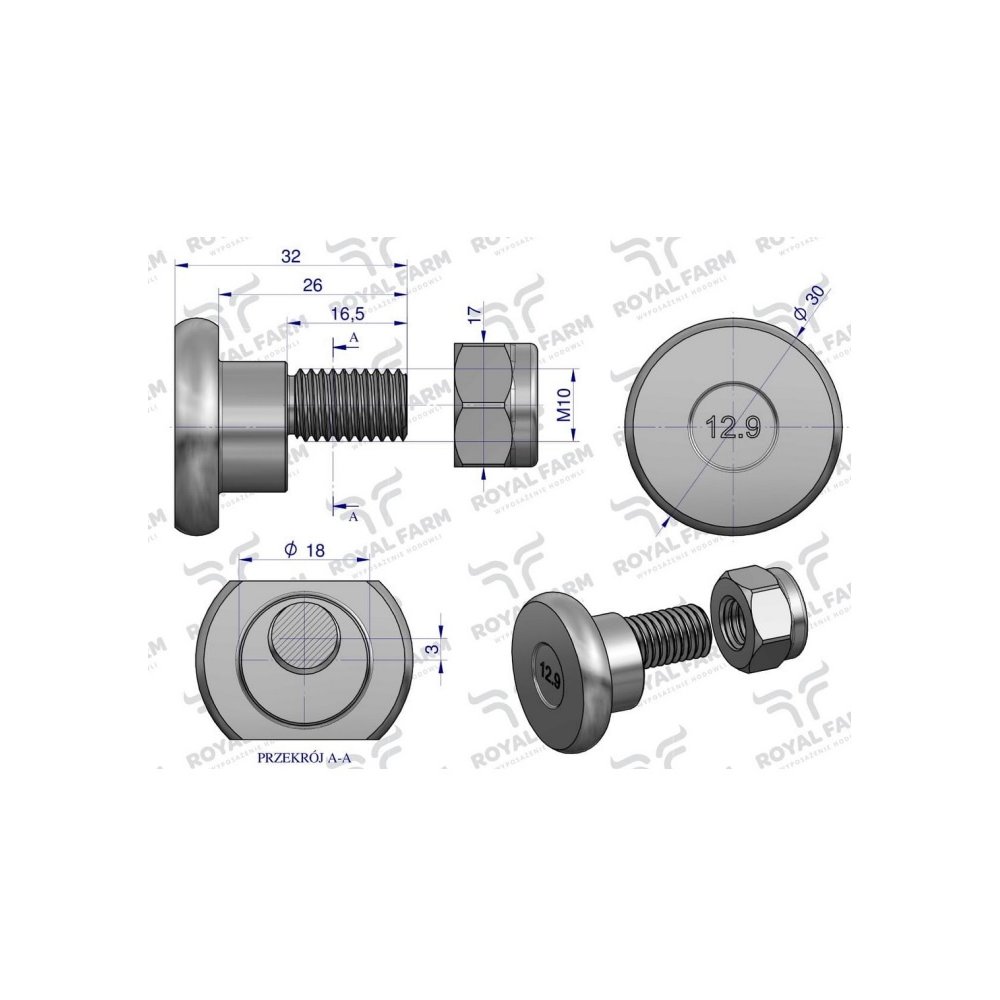 Śruba nożyka kpl. M10x32 zastosowanie Deutz Fahr. Vicon ROYAL FARM (sprzedawane po 10)