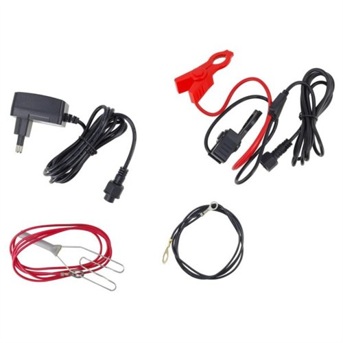 Elektryzator, Duo 1000, Royal Farm