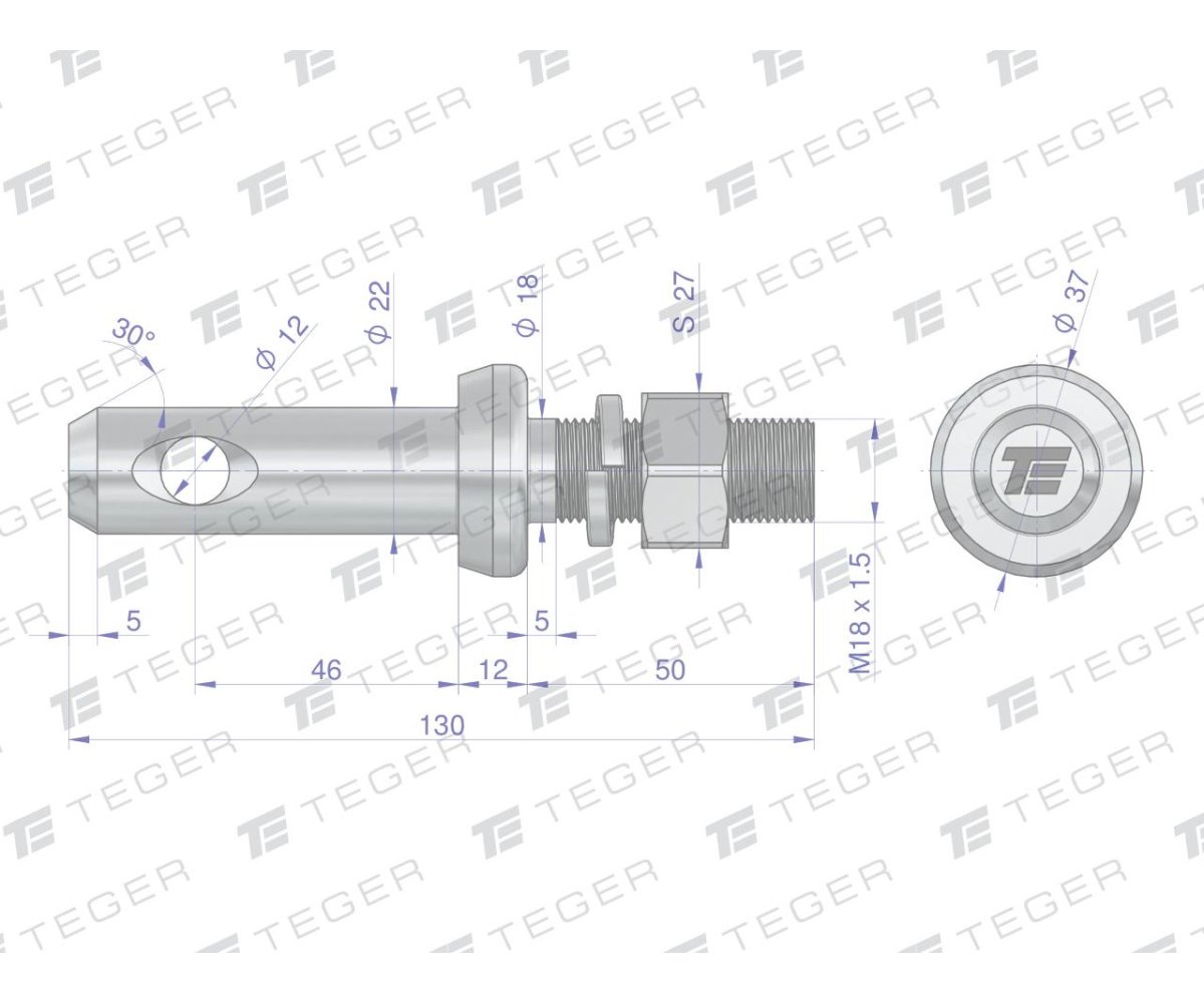 Sworzeń z gwintem T-SG22461845130 fi 22/46 mm M18x1.5/45 mm 130 mm TEGER