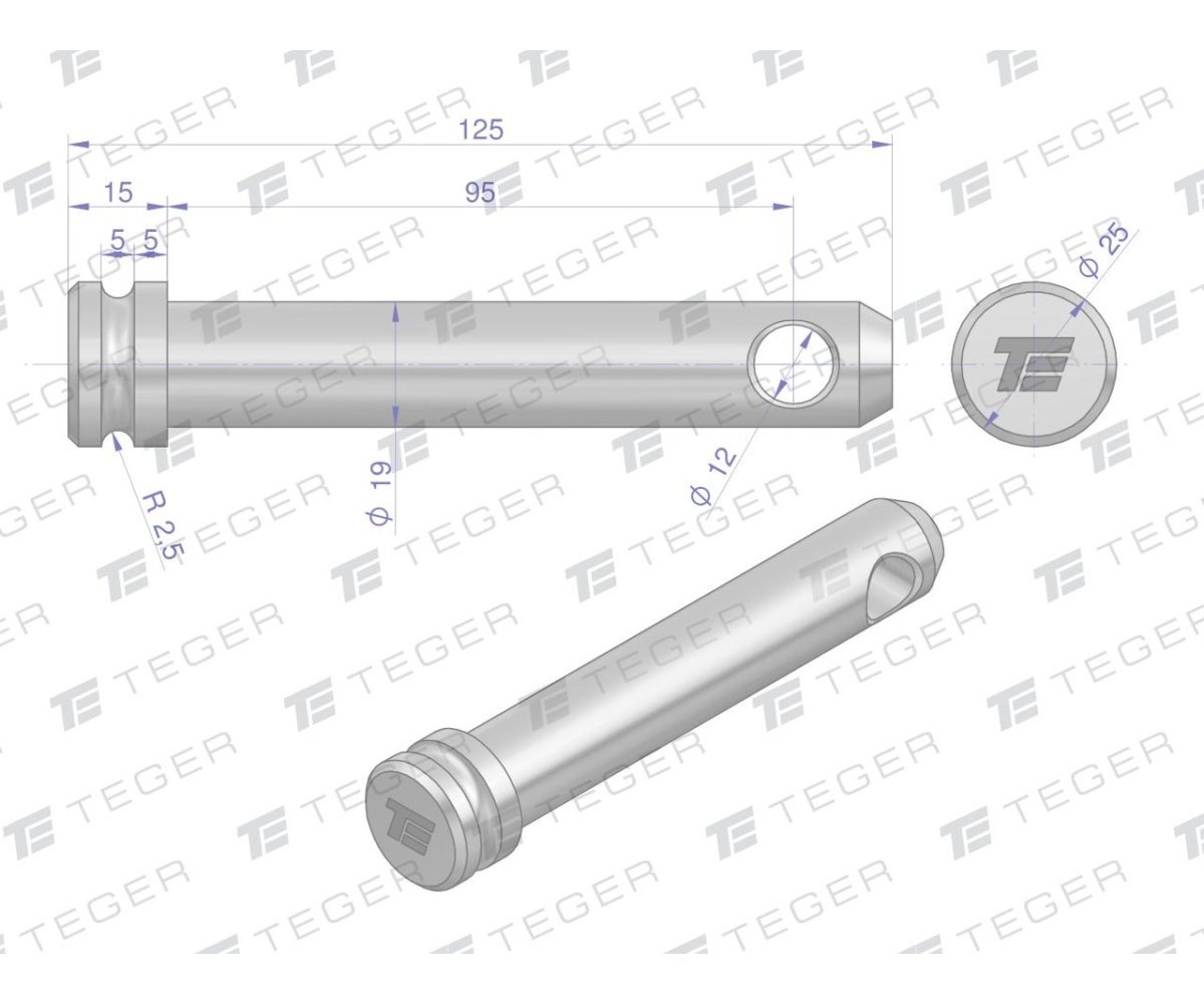 Sworzeń łącznika górnego 19x95x125 TEGER