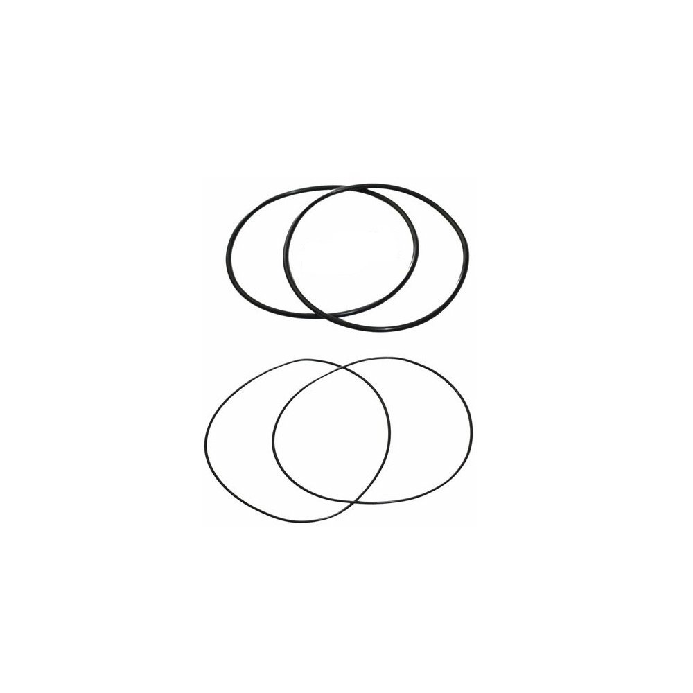 Oringi tuleji MWM 105mm Fendt, Renault F170200210030