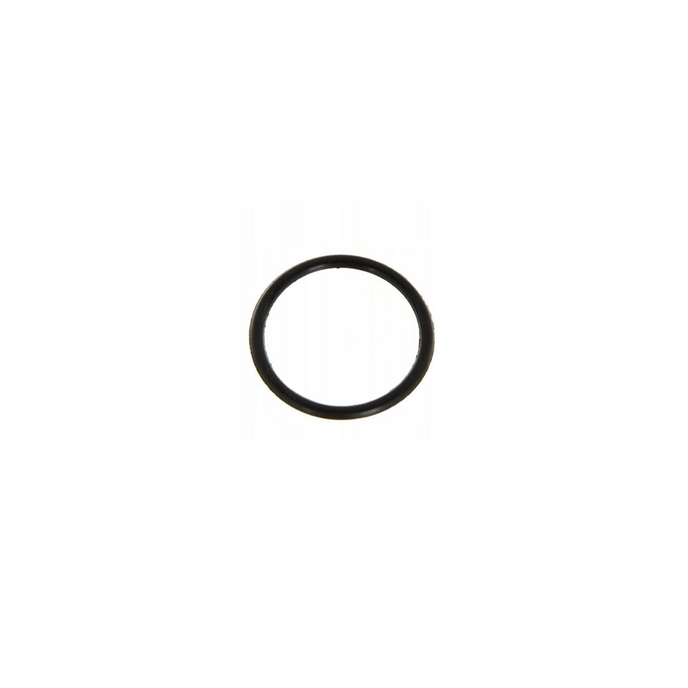 Pierścień stopy wału Massey Ferguson 2415608