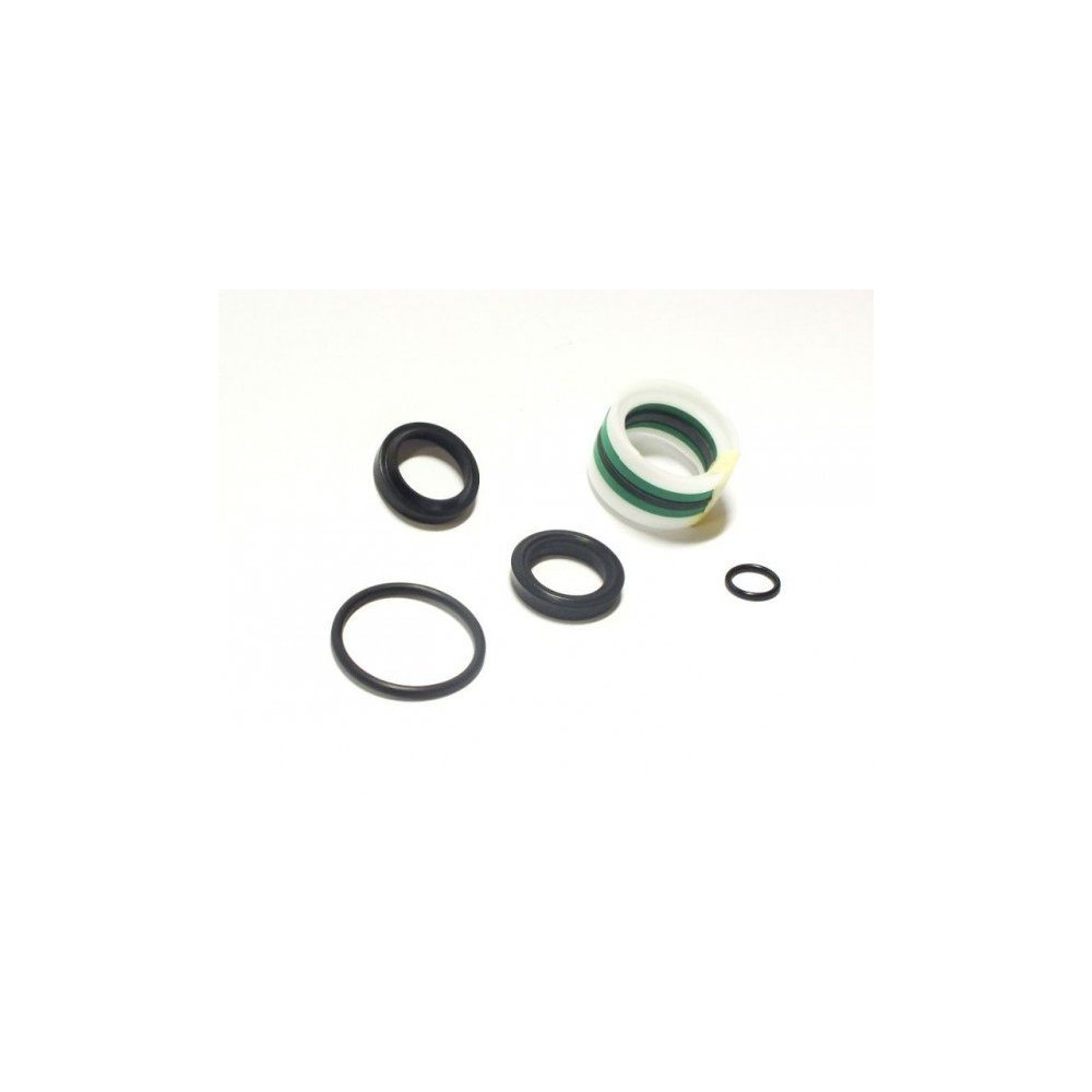 Zestaw uszczelniaczy F-173, BIZON Siłownik wariatora (nowy typ)