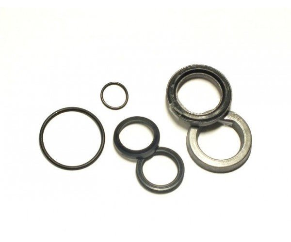 Zestaw uszczelniaczy F-179, BIZON Siłownik układu jezdnego kierowania