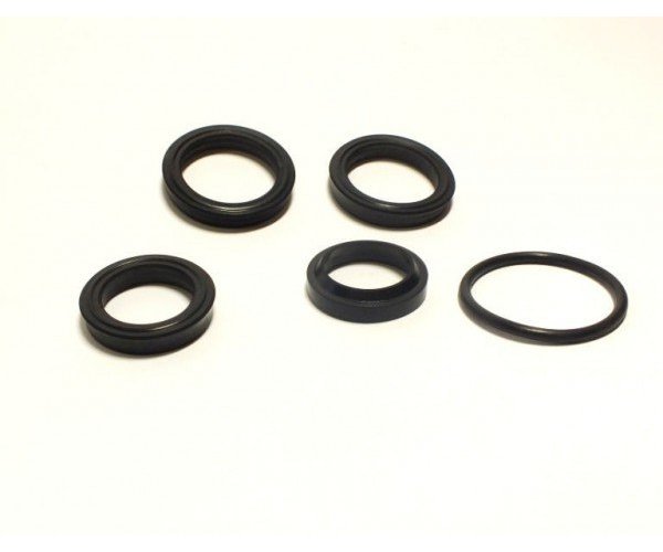 Zestaw uszczelniaczy K-807, BIZON Siłownik przekładni bezstopniowej (stary typ)