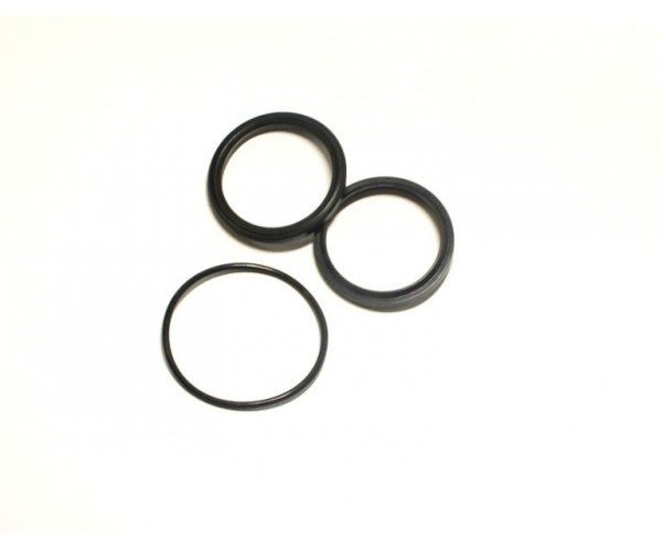 Zestaw uszczelniaczy F-165, BIZON Siłownik hederu (nowy typ, Rekord)