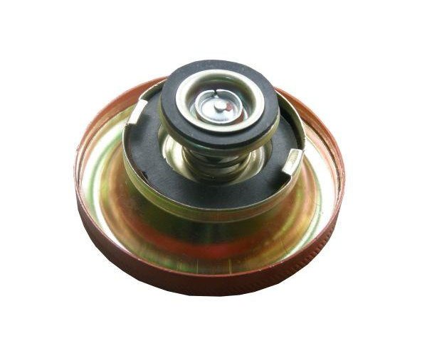 Korek chłodnicy 1698042M91 MF3