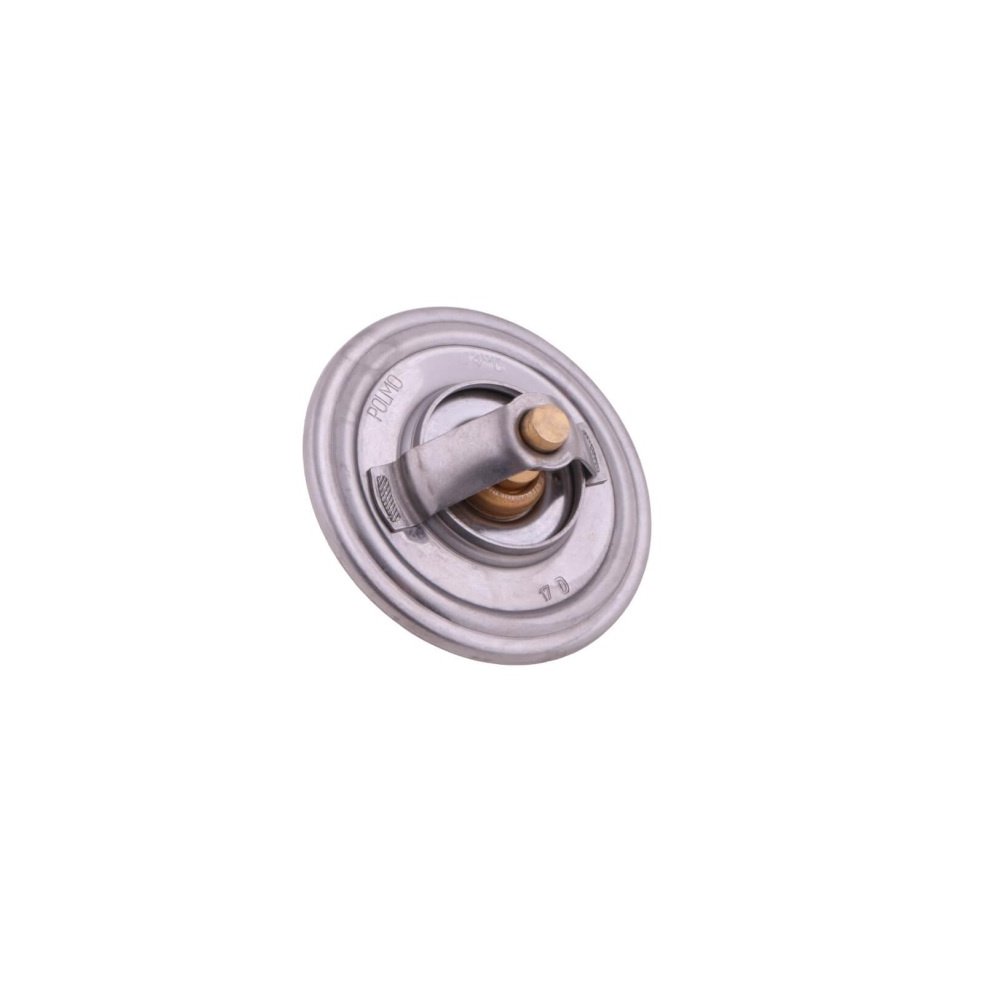 Termostat SW400 Bizon POLMO