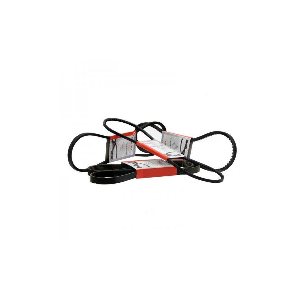 Pasek klinowy rowkowany AVX 10x1200La/XPZ1187Lw, Renault 7701029703