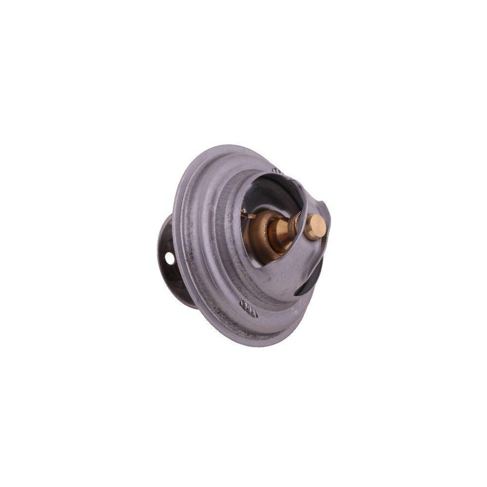 Termostat 4224639M1 LANDINI POLMO