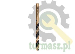 Wiertło do metalu HSS PRO (DIN 338) 1.0 mm / TEGER (sprzedawane po 10)