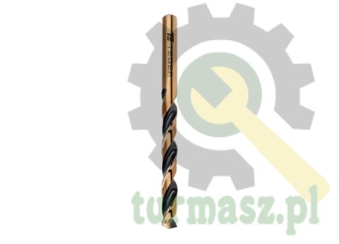 Wiertło do metalu HSS PRO (DIN 338) 1.0 mm / TEGER (sprzedawane po 10)