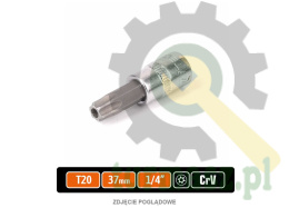 Klucz nasadowy 1/4" z bitem TORX 37 mm/T20 / (z otworem) / TEGER
