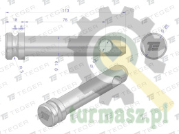 Sworzeń łącznika górnego 19x76x113 TEGER