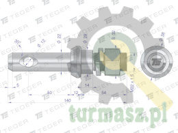 Sworzeń z gwintem T-SG22502240140.1 fi 22/50 mm M22x1.5/40 mm 140 mm TEGER