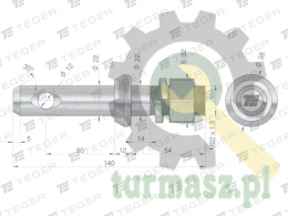 Sworzeń z gwintem T-SG22502240140 fi 22/50 mm M22x1.5/40 mm 140 mm TEGER