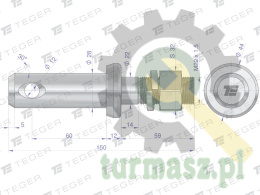 Sworzeń z gwintem T-SG28602245150 fi 28/60 mm M22x1.5/45 mm 150 mm TEGER