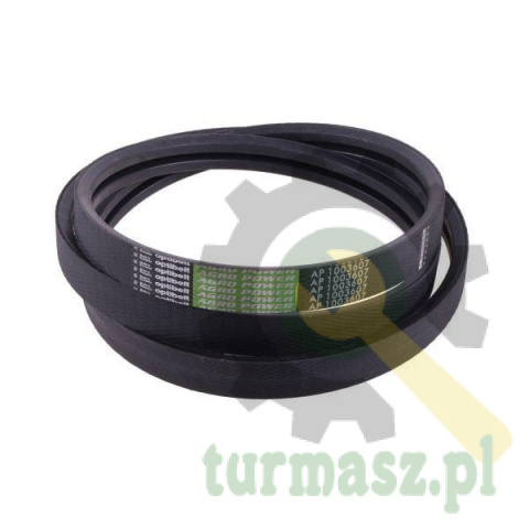 Pas klinowy AP1003607 AGCO (71146271) Optibelt