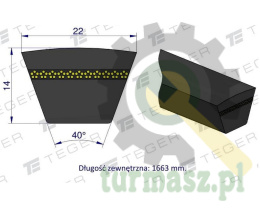 Pas klinowy Hard-Belt (T-629214.0) AP1002317 do CLAAS 629214.0 TEGER