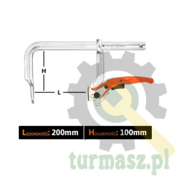 Ścisk ślusarski dzwigniowy, szybkomocujący 100x200 mm, Teger
