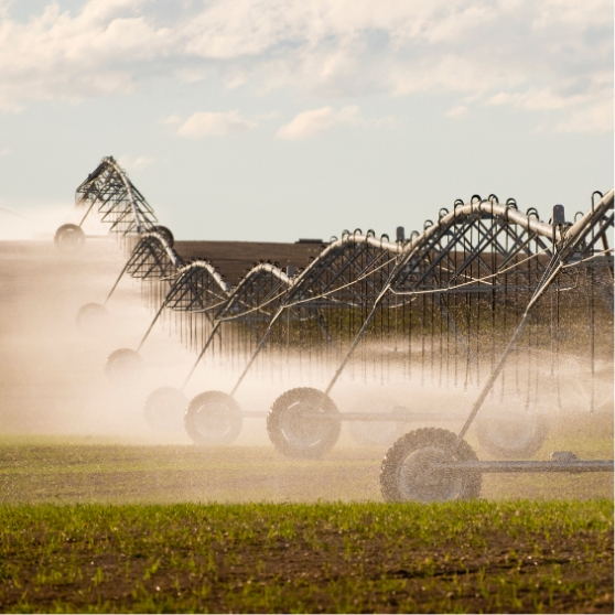Maszyny rolnicze podczas pracy