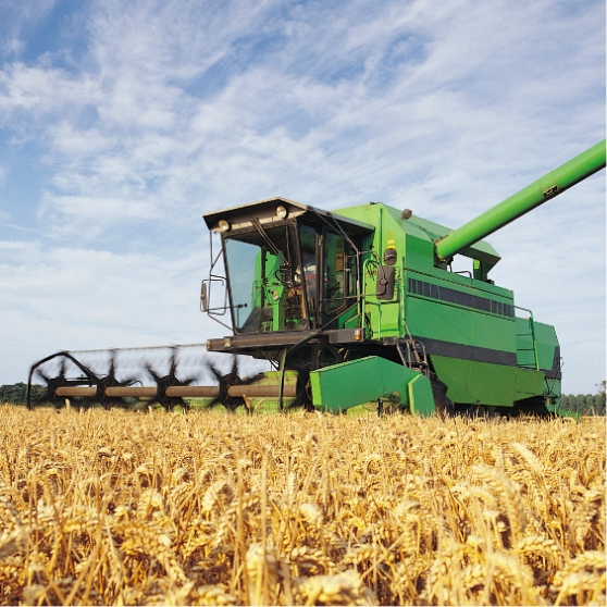 Kombajn podczas pracy